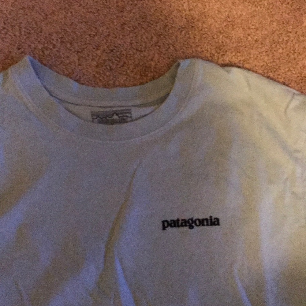 patagonia t-shirt